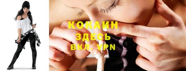 индика Балахна