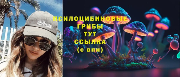 индика Балахна