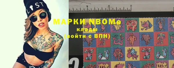 индика Балахна