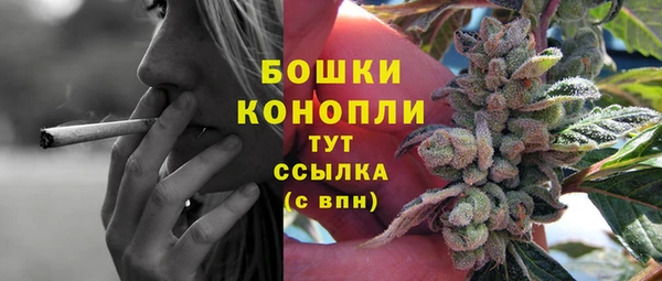 индика Балахна