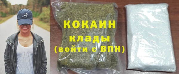 индика Балахна