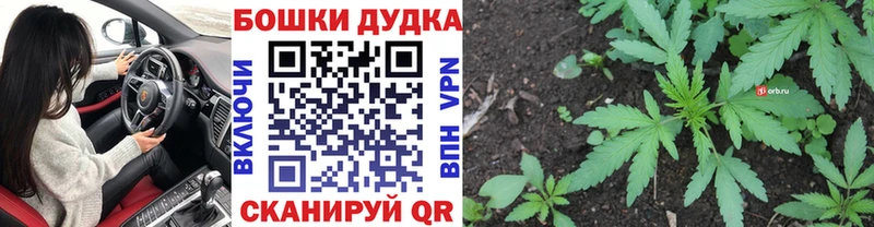купить наркотик  Белореченск  Марихуана Amnesia 